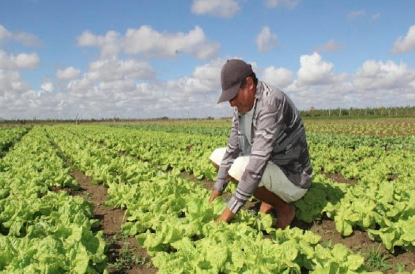 Serra promove curso de gestão para fortalecer agricultura familiar