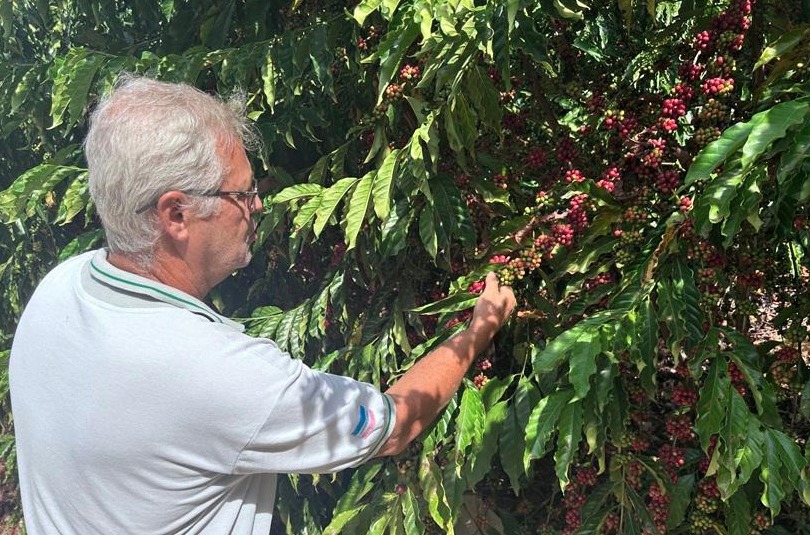 A SERRA: MOVIMENTA R$ 18 MILHÕES NA ECONOMIA POR MEIO DO CAFÉ